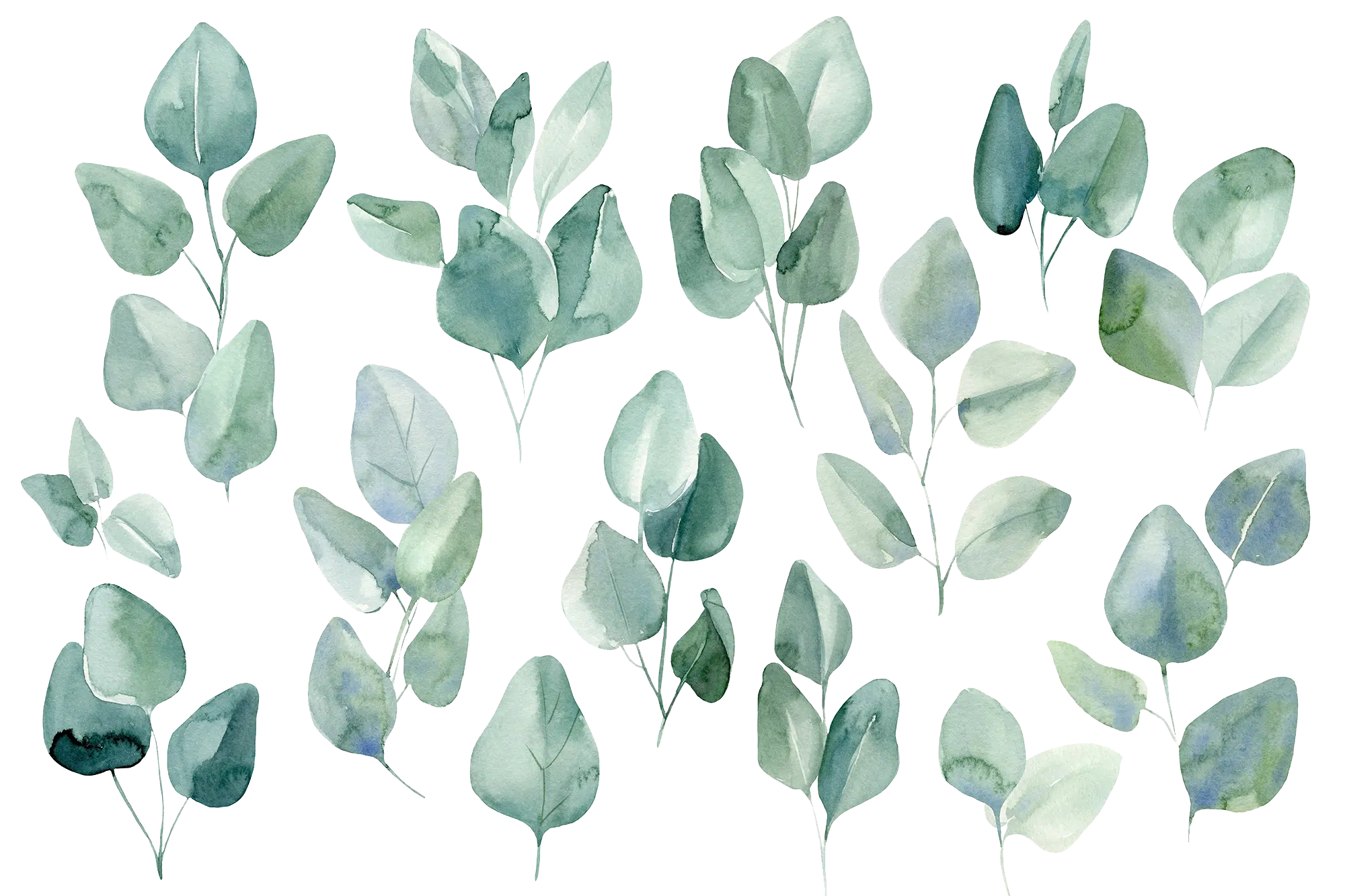 imagen decorativa de unas hojas verdes